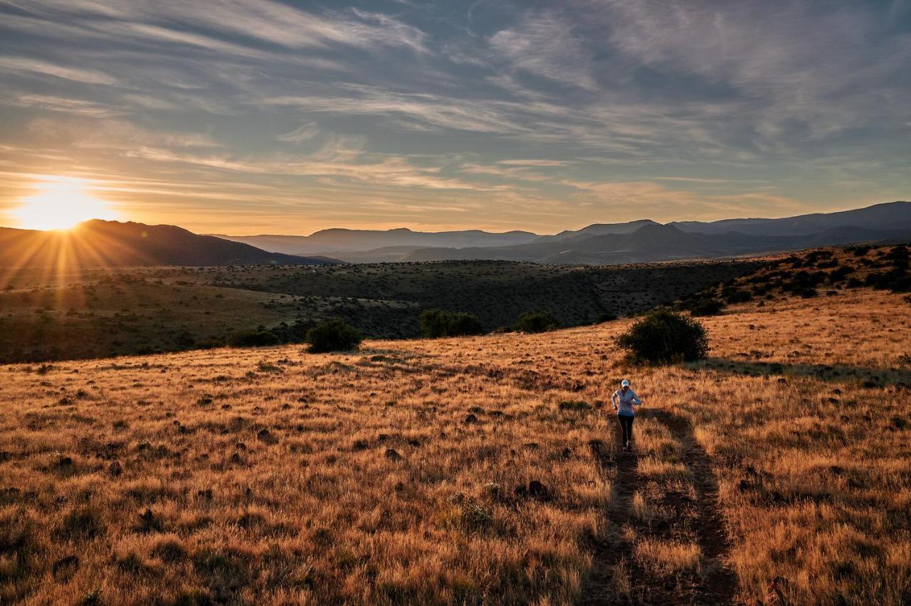 Glen Harry Game Reserve Graaff-Reinet Eksteriør bilde