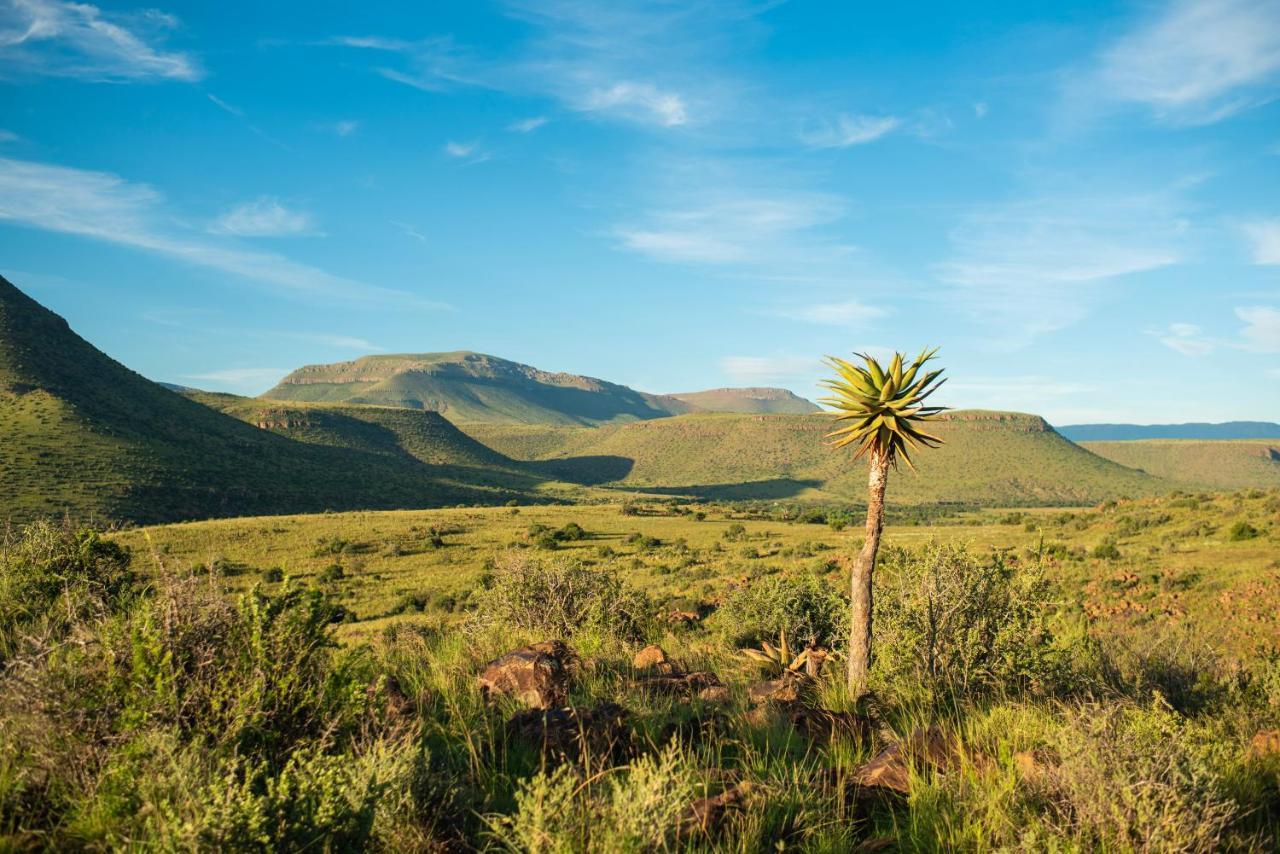 Glen Harry Game Reserve Graaff-Reinet Eksteriør bilde