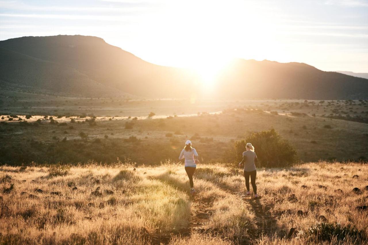 Glen Harry Game Reserve Graaff-Reinet Eksteriør bilde