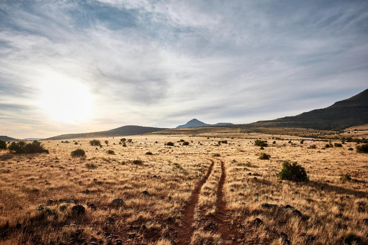 Glen Harry Game Reserve Graaff-Reinet Eksteriør bilde